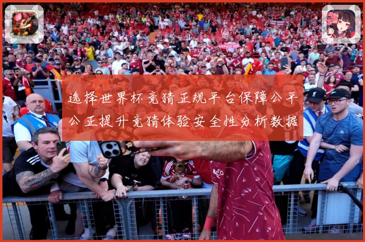 选择世界杯竞猜正规平台保障公平公正提升竞猜体验安全性分析数据研判-深度解析