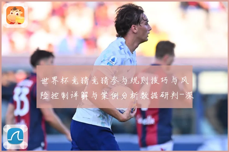世界杯竞猜竞猜参与规则技巧与风险控制详解与案例分析数据研判-深度解析