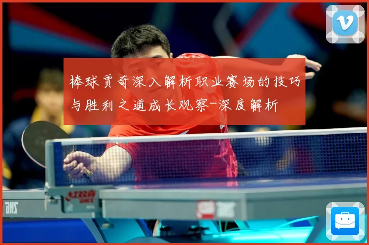 棒球贾奇深入解析职业赛场的技巧与胜利之道成长观察-深度解析