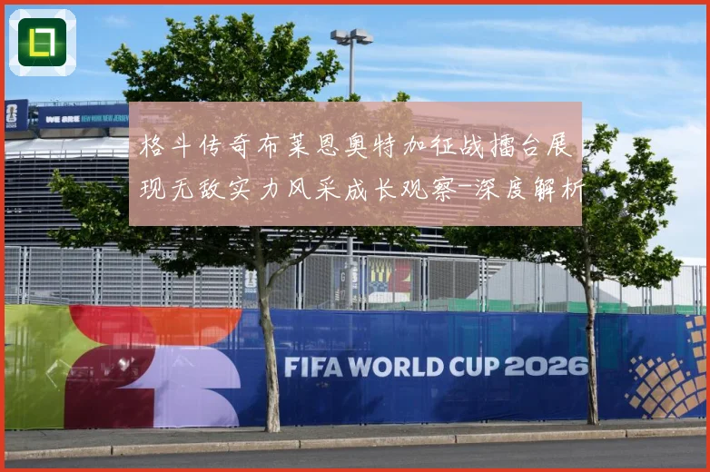 格斗传奇布莱恩奥特加征战擂台展现无敌实力风采成长观察-深度解析