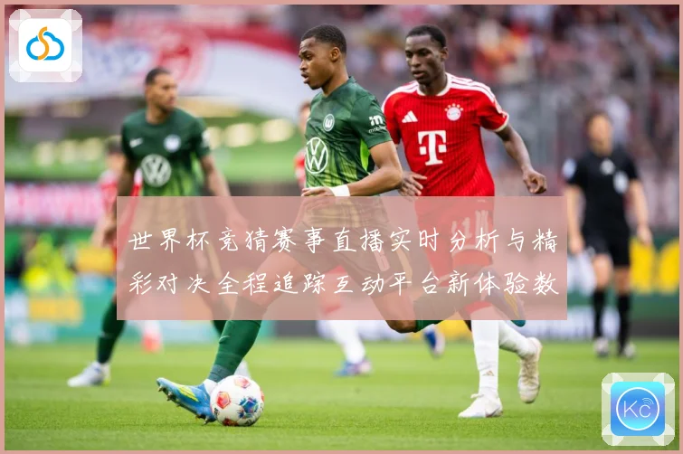 世界杯竞猜赛事直播实时分析与精彩对决全程追踪互动平台新体验数据研判-深度解析
